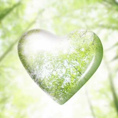 Psicología ambiental