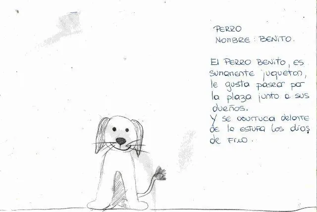 Test del animal