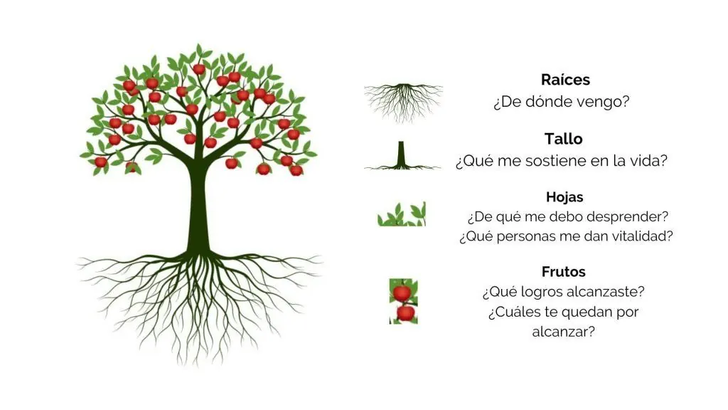 Imagen que explica cómo se visualiza el proyecto de vida en la imagen de un árbol