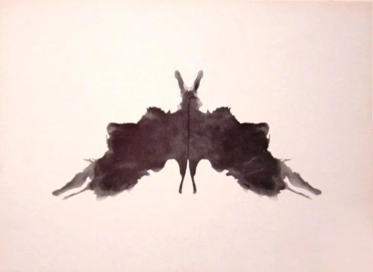 TEST DE RORSCHACH - LÁMINA V