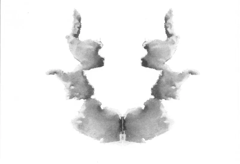 TEST DE RORSCHACH - LÁMINA VII