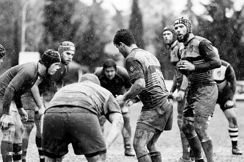 Rugby, violencia y masculinidades - Equipo de rugby masculino
