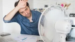 Metáfora del calor