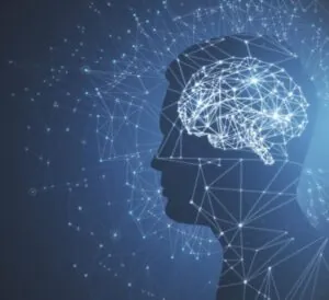 Mindfulness y neurociencias