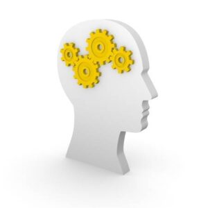 Procesamiento de la información