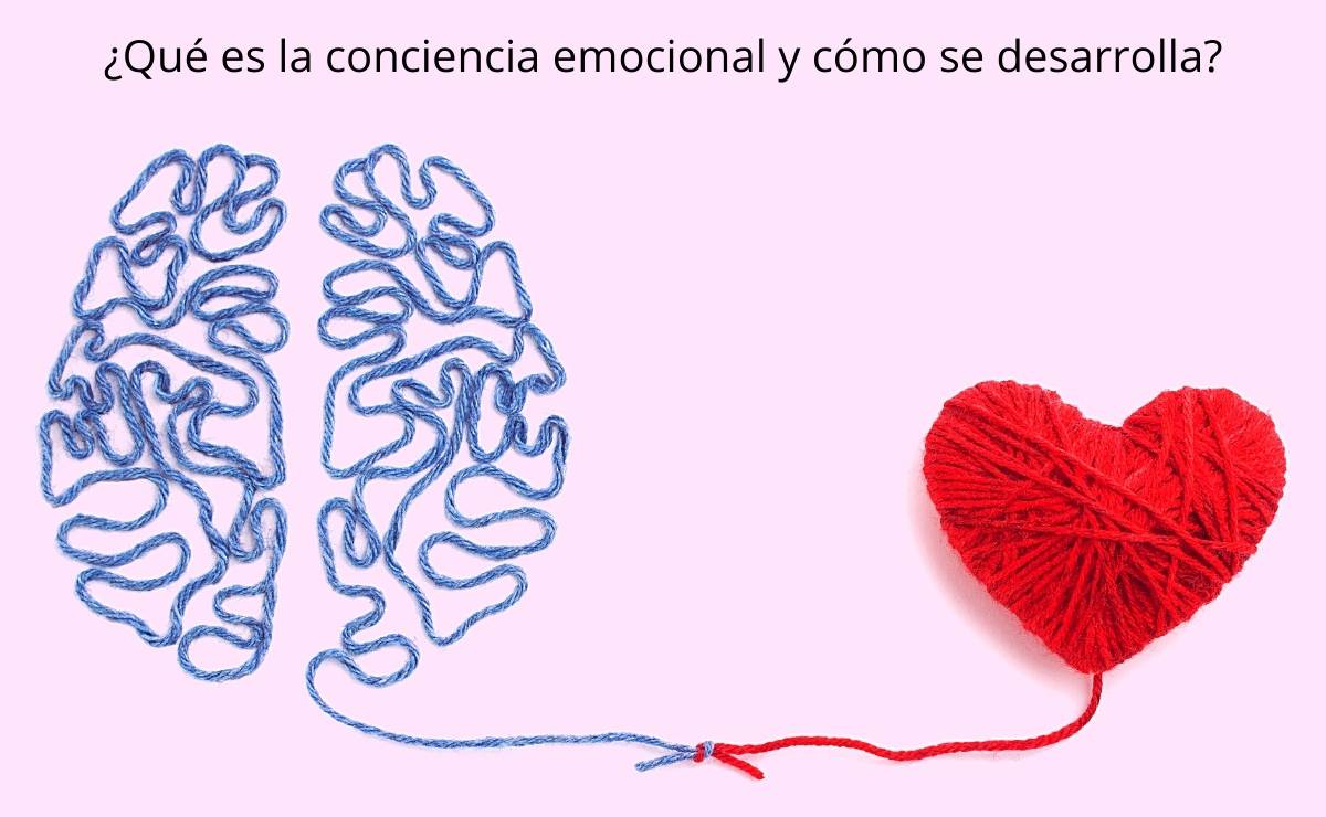Conciencia emocional